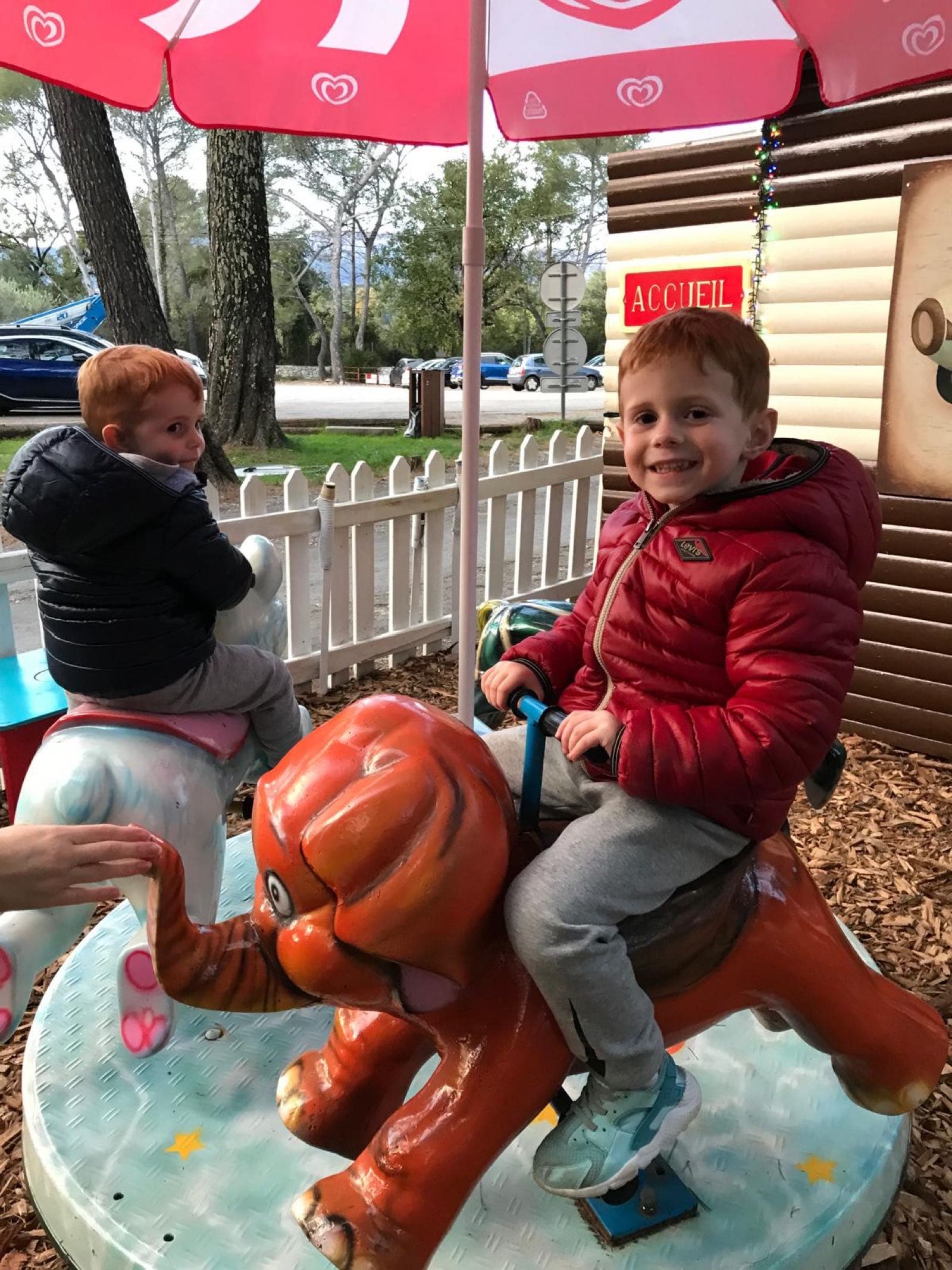 Animal Carousel – 3 Seats – Elephant, Horse, and Mouse – 100% Eco-Friendly
